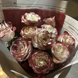 性生交❌❌❌❌BBBB
