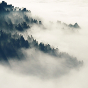 性生交❌❌❌❌BBBB
